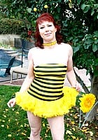 Donna Flower